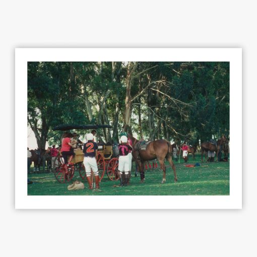 Break From Polo - Image 2