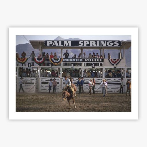 Bucking Bronco - Image 2