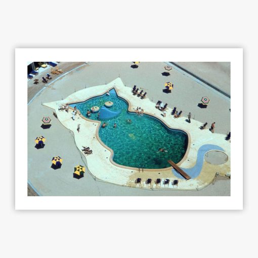 Cat-Shaped Pool - Image 2