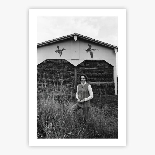 Chicago Farmer - Image 2