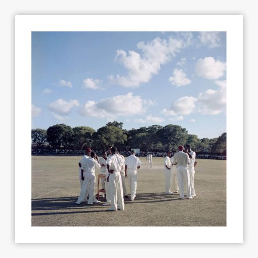 Cricket In Antigua - Image 2