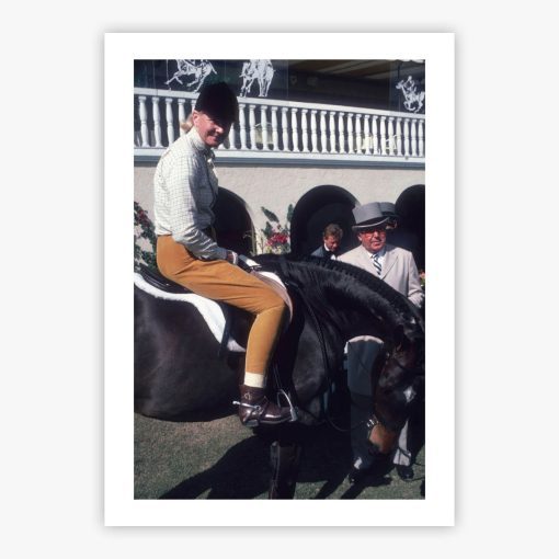 CZ's Horse - Image 2