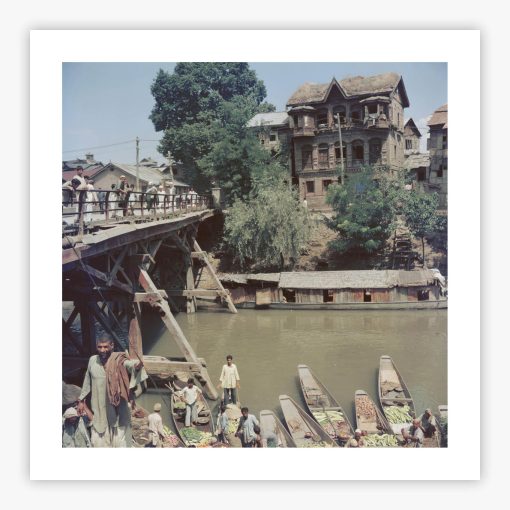 Dal Lake - Image 2