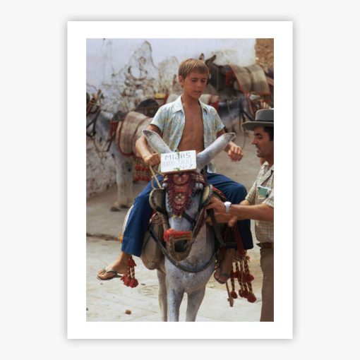 Donkey Taxi - Image 2