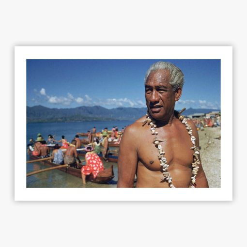 Hawaiian Hero - Image 2