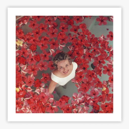 Hibiscus Flowers - Image 2