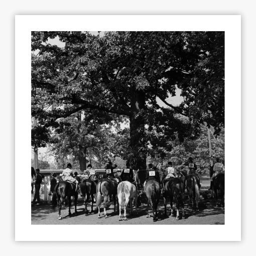 Horse Show - Image 2