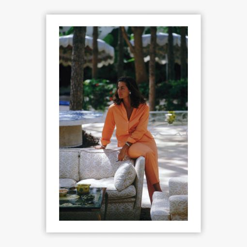 House Guest - Image 2
