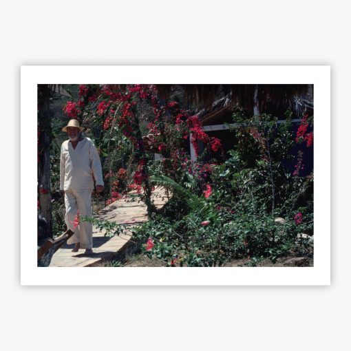 John Huston - Image 2