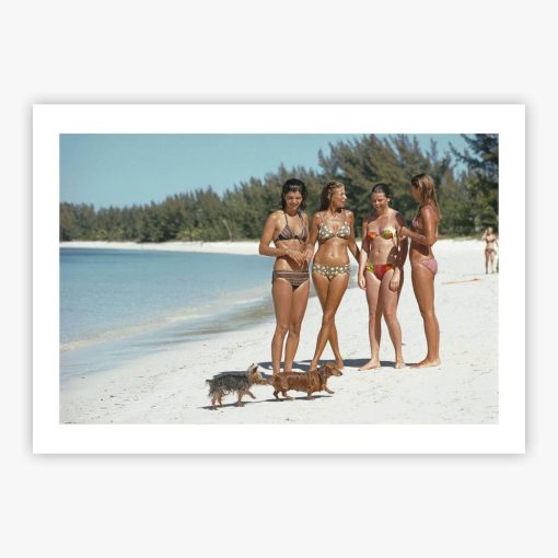 Ladies Of Lyford Cay - Image 2