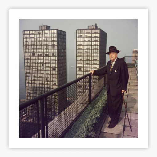 Mies In Chicago - Image 2