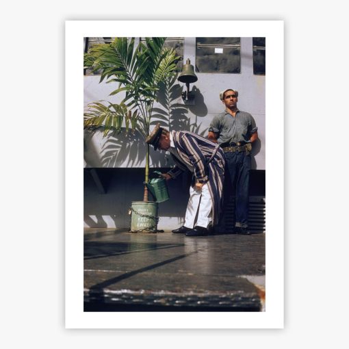 Plant Lover - Image 2