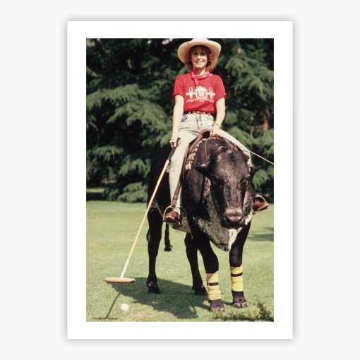 Polo Cow - Image 2