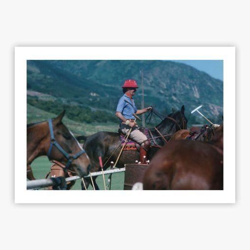Polo Player - Image 2