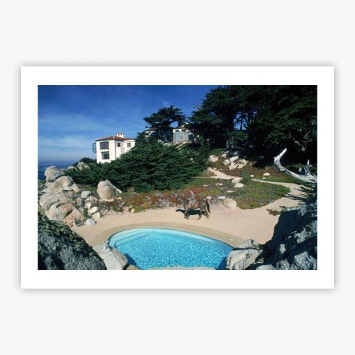Poolside Equestrian - Image 2