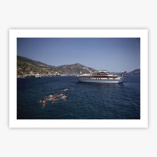 Pucci Family - Image 2
