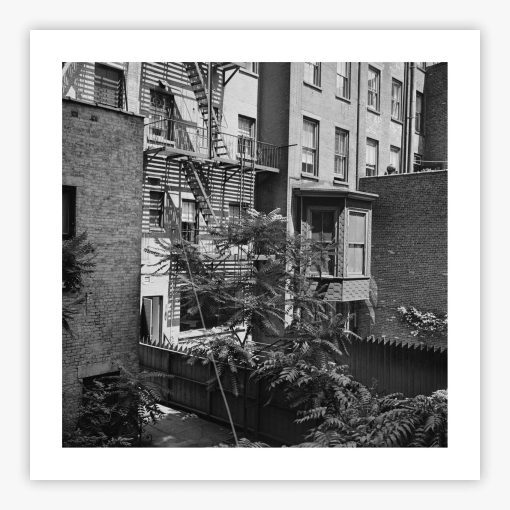 Rear Window Shoot - Image 2