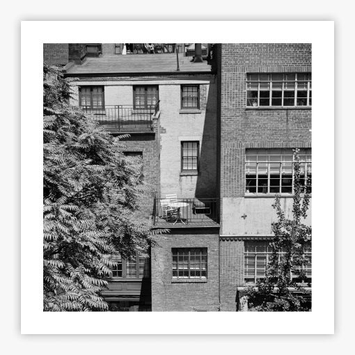 Rear Window Shoot - Image 2