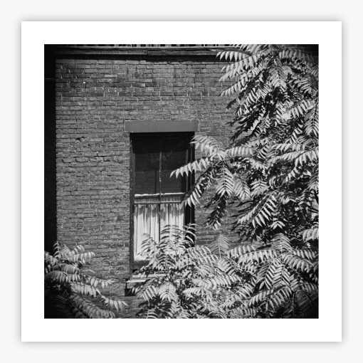 Rear Window Shoot - Image 2