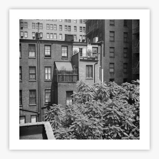 Rear Window Shoot - Image 2