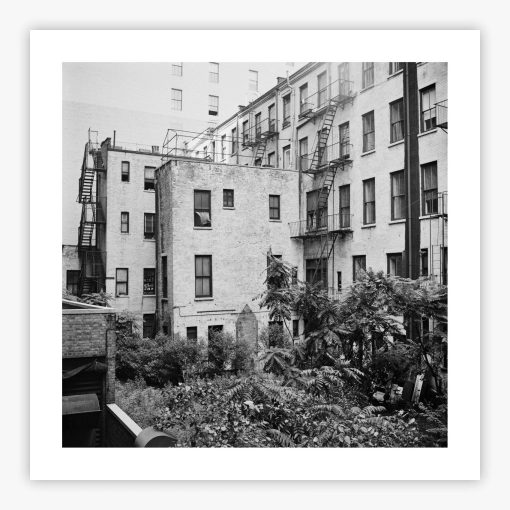 Rear Window Shoot - Image 2