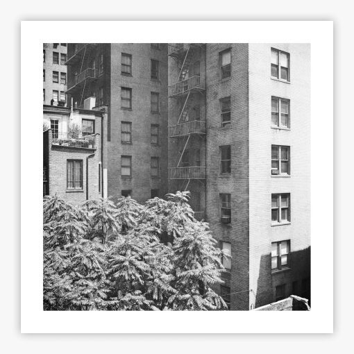 Rear Window Shoot - Image 2