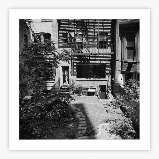 Rear Window Shoot - Image 2