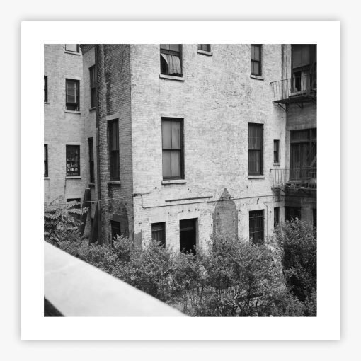 Rear Window Shoot - Image 2