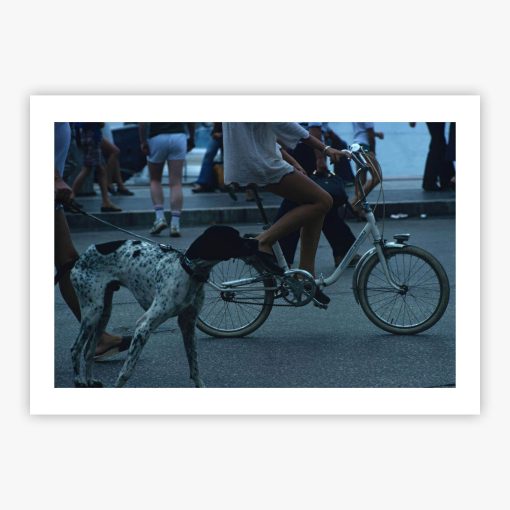 Saint-Tropez Cyclist - Image 2