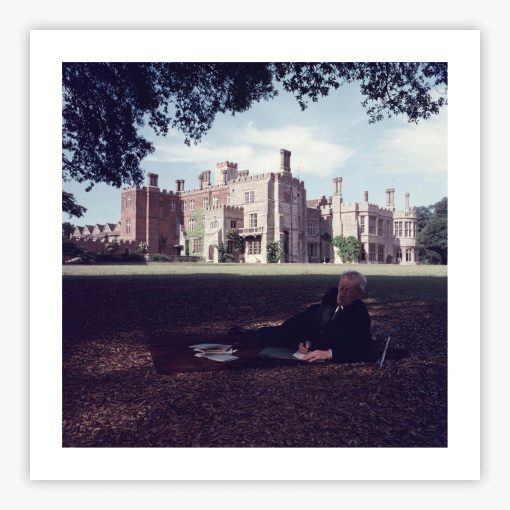Sandwich In The Shade - Image 2