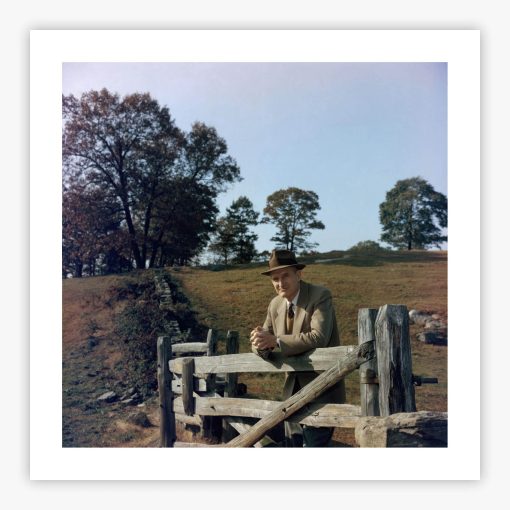 Sleepy Hollow Farm - Image 2
