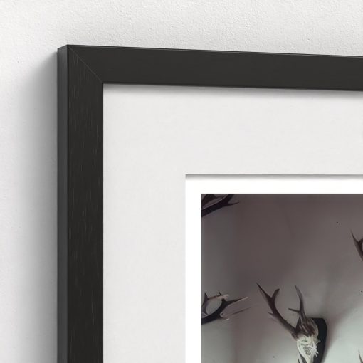 Antlers Galore - Image 4