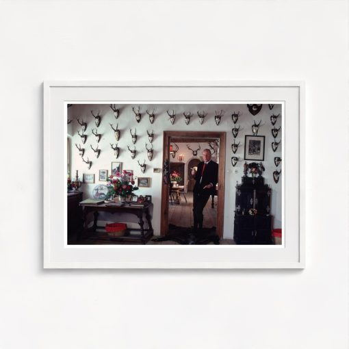 Antlers Galore - Image 5