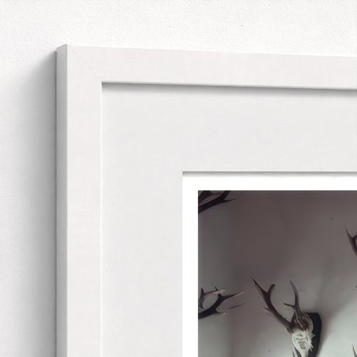 Antlers Galore - Image 6