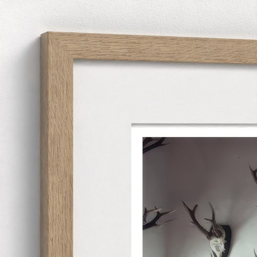 Antlers Galore - Image 8