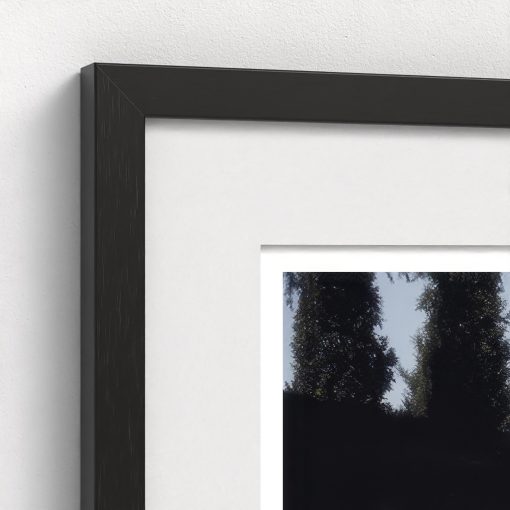 At Home With The Montegazzas - Image 4