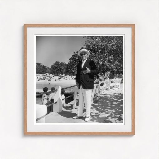 Beaverbrook's Holiday - Image 7