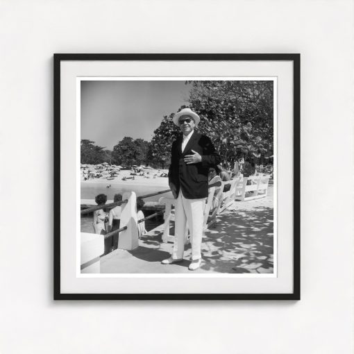 Beaverbrook's Holiday - Image 3
