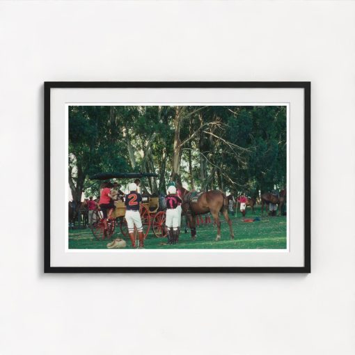 Break From Polo - Image 3
