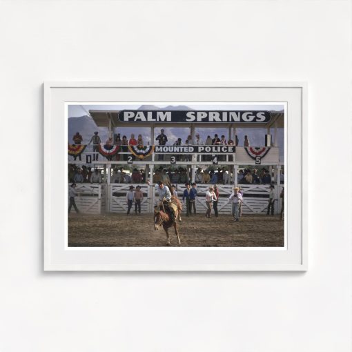 Bucking Bronco - Image 5