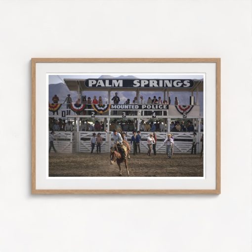 Bucking Bronco - Image 7