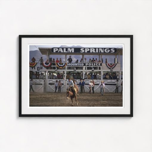 Bucking Bronco - Image 3