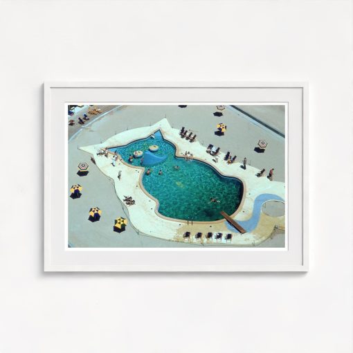Cat-Shaped Pool - Image 5