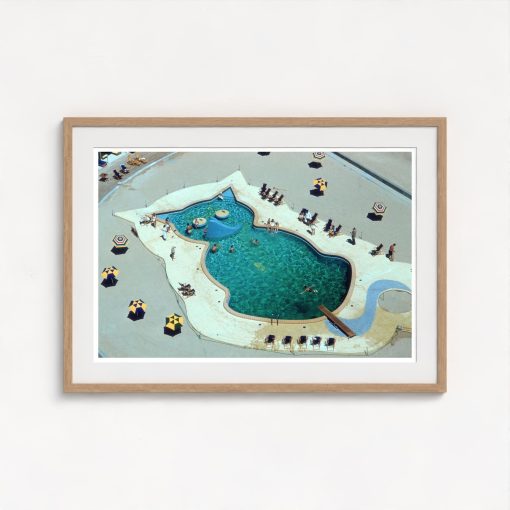 Cat-Shaped Pool - Image 7