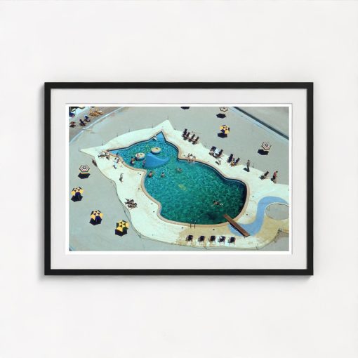 Cat-Shaped Pool - Image 3