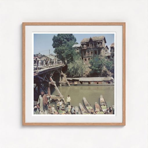 Dal Lake - Image 7