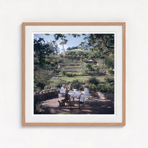 Dining Al Fresco - Image 7