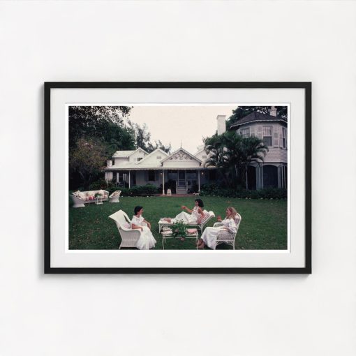 Drinks On The Lawn - Image 3