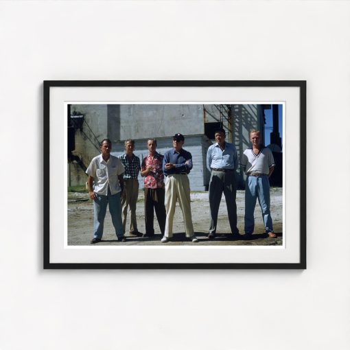 Film Director - Image 3