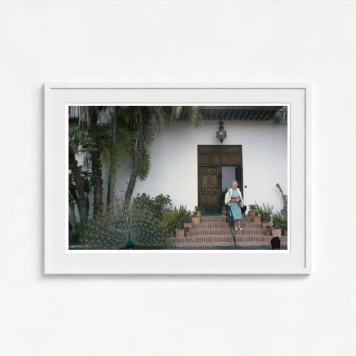 Florestal - Image 5